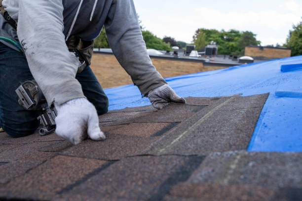 Quick and Trustworthy Emergency Roof Repair Services in Parkersburg, WV
