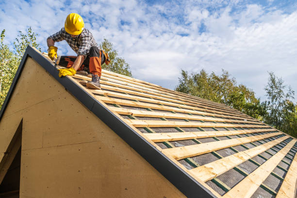 Best Roof Gutter Cleaning  in Parkersburg, WV